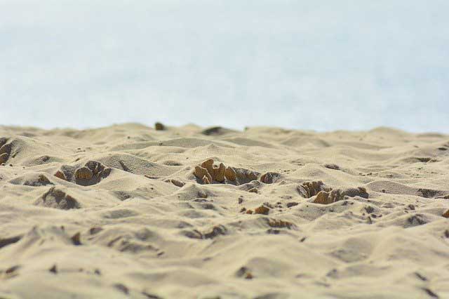 Stage pilotage sur sable